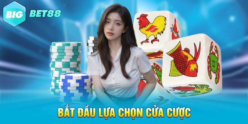 Bắt đầu lựa chọn cửa cược