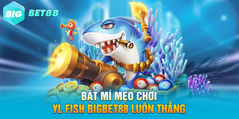 bat mi meo choi yl fish bigbet88 luon thang Bật mí mẹo chơi YL Fish Bigbet88 luôn thắng