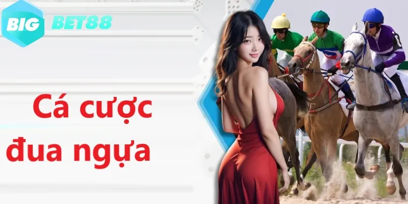 Cá cược thể thao đua ngựa đẳng cấp hàng đầu hiện nay