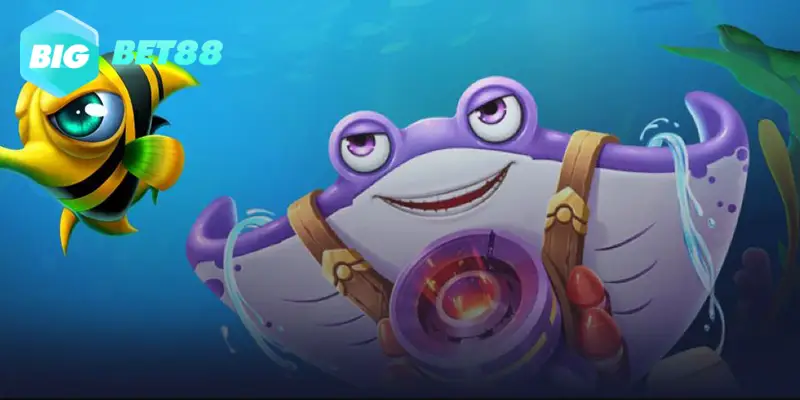 Chọn cá lớn để bắn 