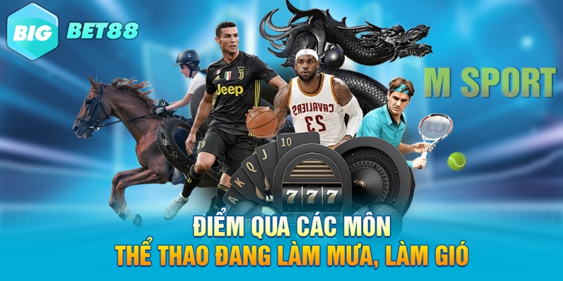 Điểm qua các môn thể thao đang làm mưa, làm gió