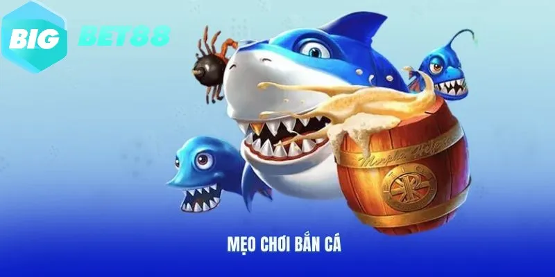 Hiểu rõ mẹo tham gia game bắn cá đổi thưởng Bigbet88 để dành phần thắng