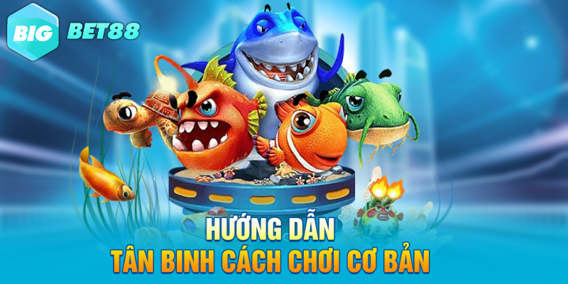 huong dan tan binh cach choi co ban Hướng dẫn tân binh cách chơi cơ bản