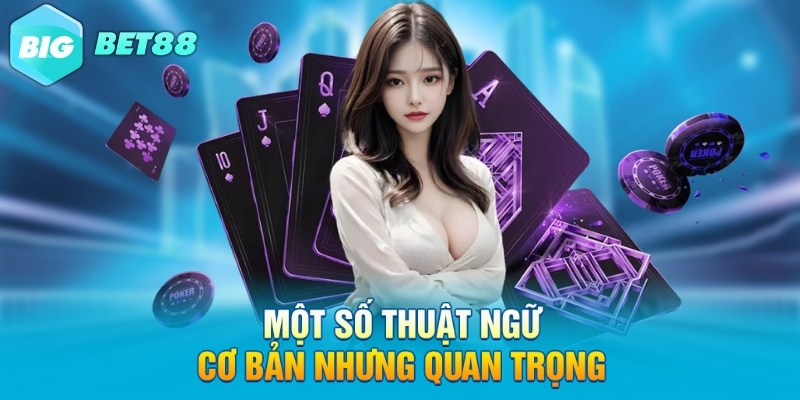 mot so thuat ngu co ban nhung quan trong Một số thuật ngữ cơ bản nhưng quan trọng