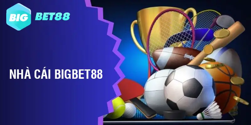 Nhà cái Bigbet88