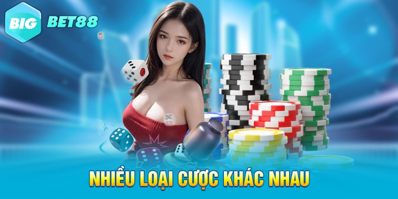 Nhiều loại cược khác nhau