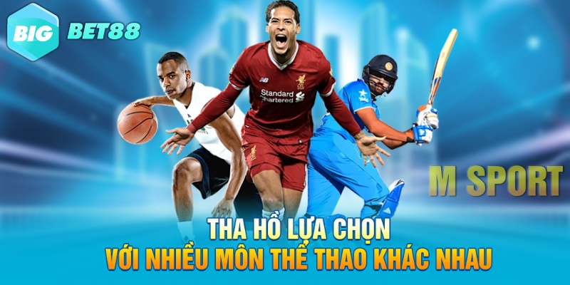 Tha hồ lựa chọn với nhiều môn thể thao khác nhau