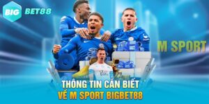 Thông tin cần biết về M Sport Bigbet88
