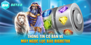 Thông tin cơ bản về máy ngọc lục bảo Bigbet88