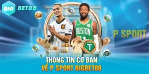 Thông tin cơ bản về P sport Bigbet88