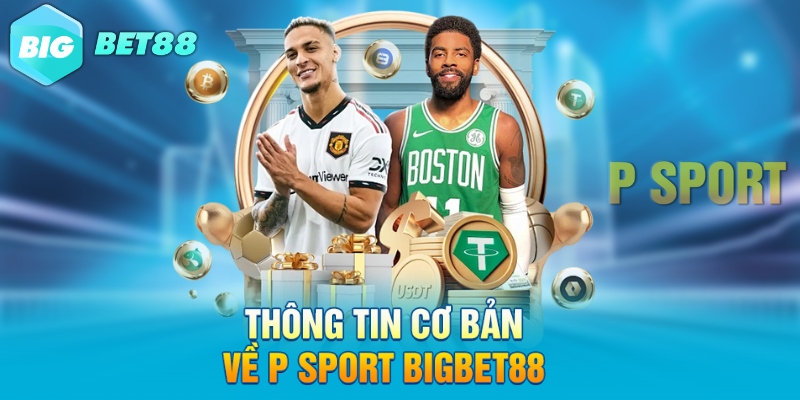 Thông tin cơ bản về P sport Bigbet88