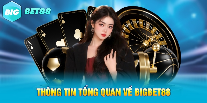 thong tin tong quan ve bigbet88 thong tin tong quan ve bigbet88