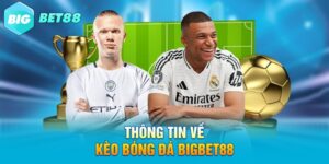 Thông tin về kèo bóng đá Bigbet88