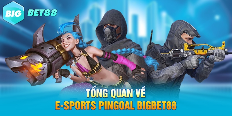 Tổng quan về E-Sports PinGoal Bigbet88