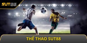 the thao sut88