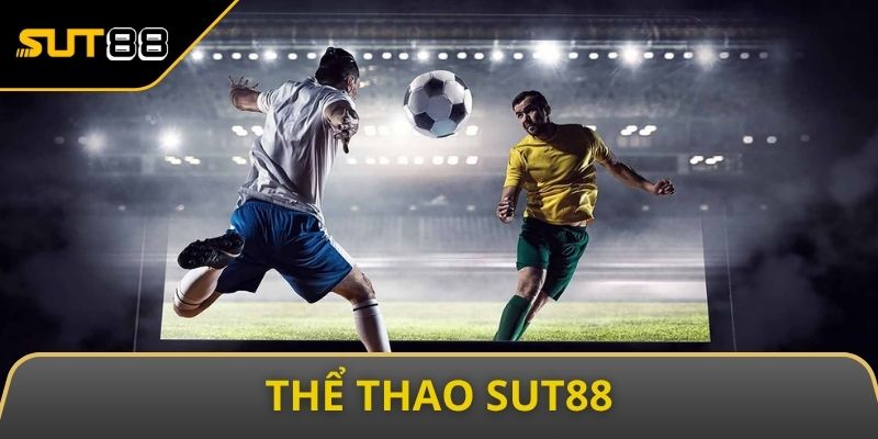 the thao sut88